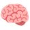 :brain: